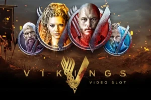 Vikings slot by NetEnt