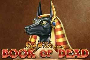 Book of Dead slot by Play'n GO