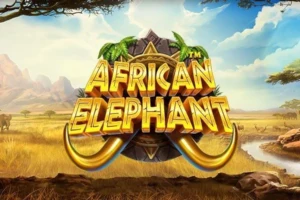 African Elephant slot by Pragmatic Play